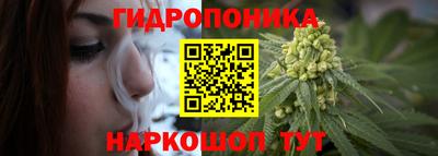 сатива Беслан